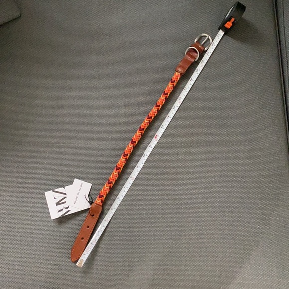 ZARA Dog Collar - Picture 4 of 8